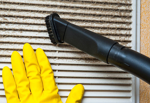 Best Air Duct Mold Removal  in San Carlos, TX